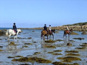 Riding at horse club in Tregastel