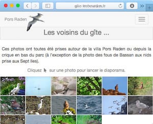 Photos des animaux observables