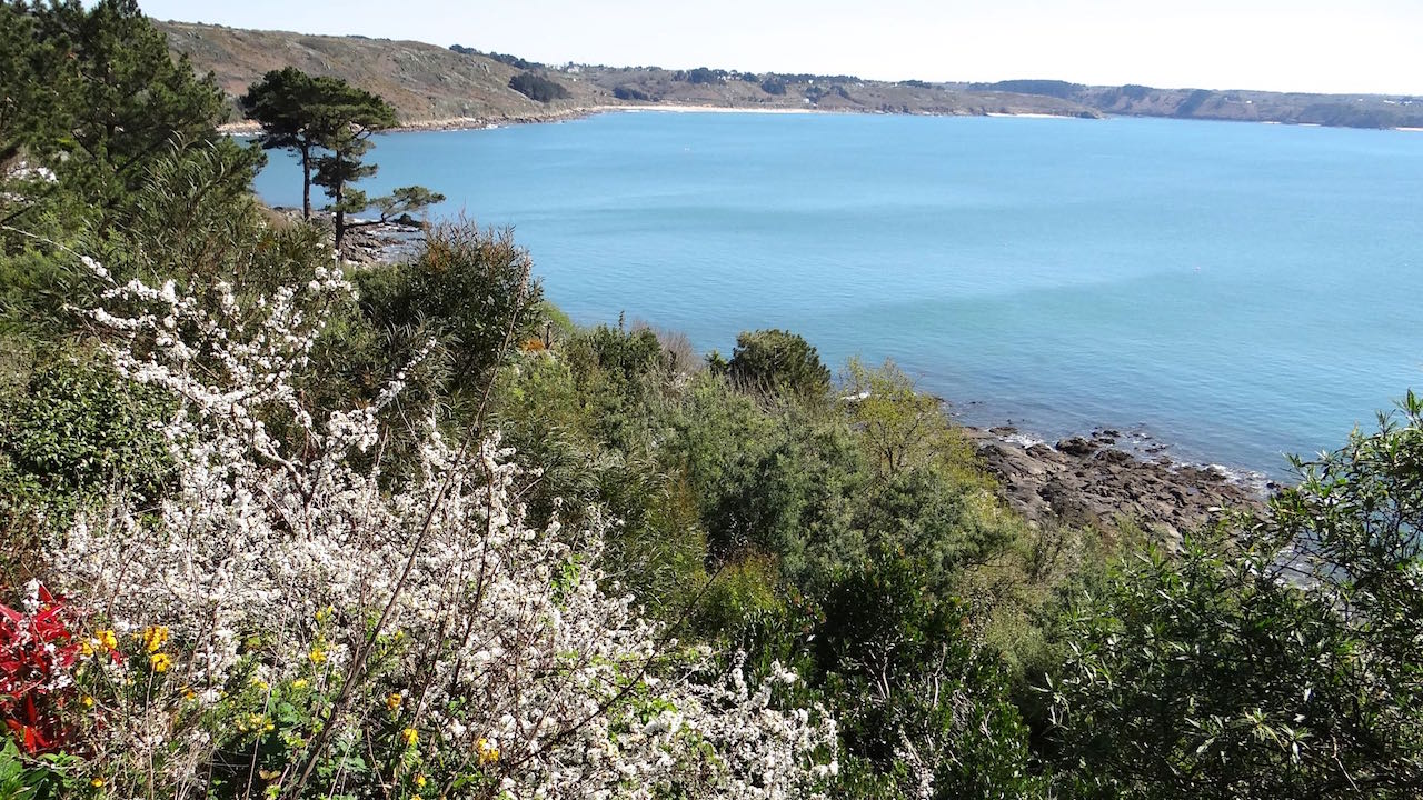 Le parc du gîte pied dans l'eau