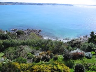 Le parc vu depuis la terrasse du gîte