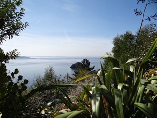 Sea view from the main aisle