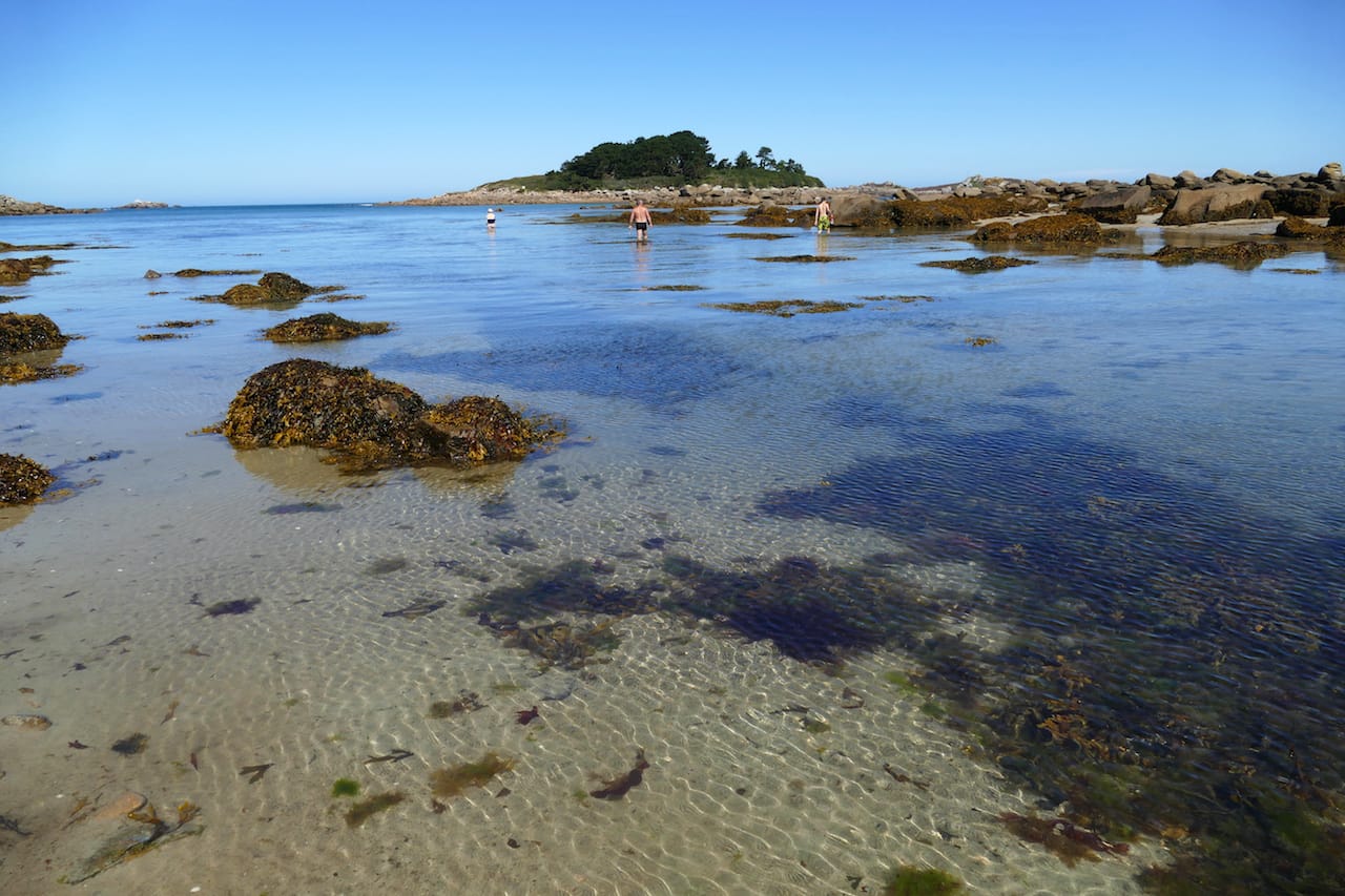 Pêche à pied à Landrellec